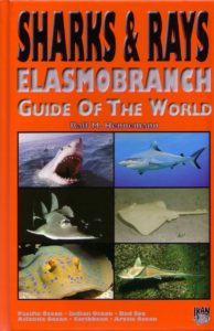 Sharks and Rays Elasmobranch Guide Hennemann