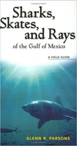 Sharks, Skates, and Rays of the Gulf of Mexico book