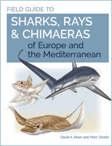 Sharks, Rays, and Chimaeras of Europe and the Mediterranean