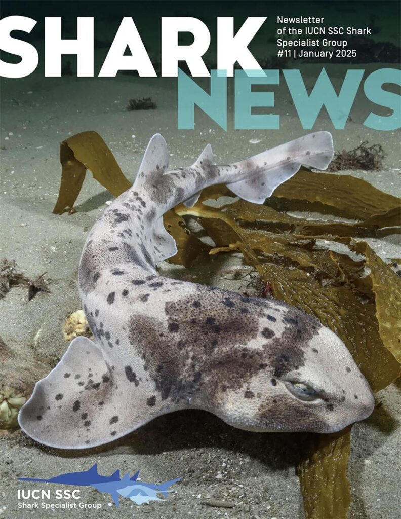 Shark Specialist Group newsletter