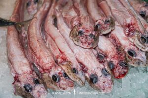 Smallspotted Catshark (Scyliorhinus canicula) carcasses in a fish market in Spain.