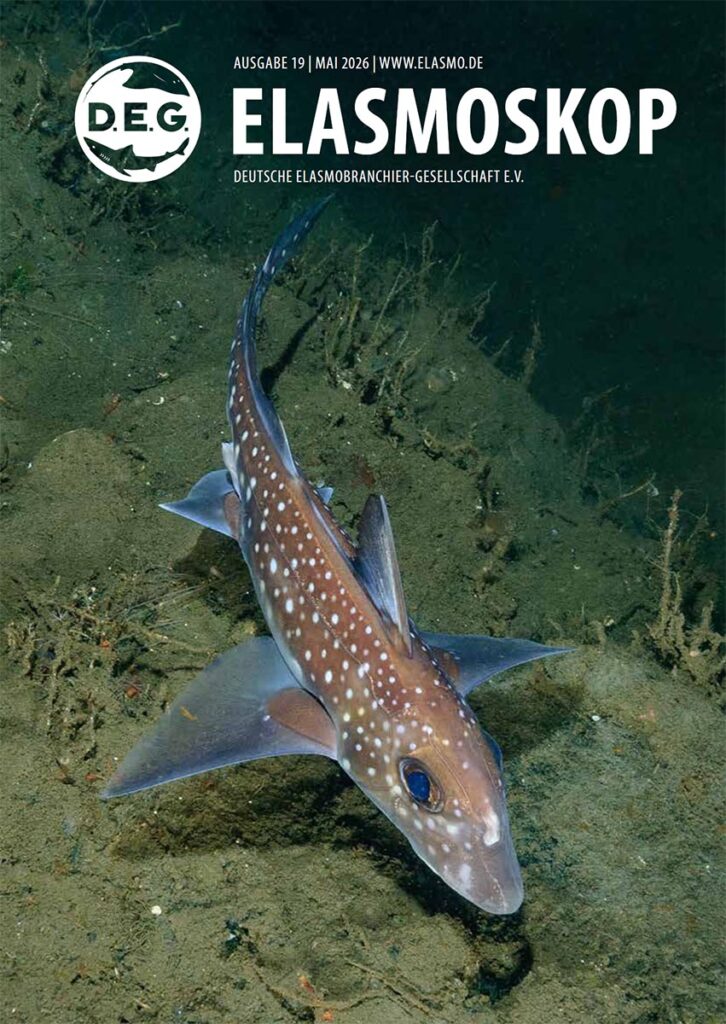 Elasmoskop-cover
